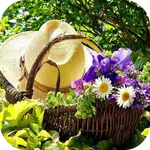 DIY Gardening Tips icon