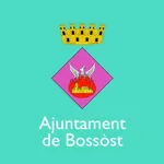 Servicis Bossòst icon