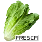 Lechuga Paralela icon