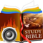 Study Bibles (Multiple Languag icon