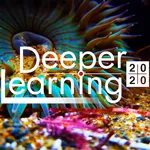 DL2020 icon