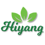 Hiyang International icon