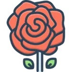 Hadisi Şerif kütüb i sitte icon