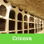 Cricova Tour Guide:SmartGuide icon