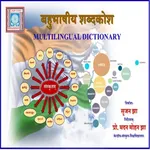 Multilingual Dictionary India icon