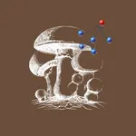 TreebolicFungi icon