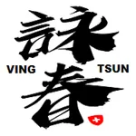 詠春拳良伴 Ving Tsun Kuen Companion icon