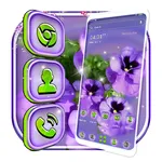 Pansy Flower Purple Theme icon