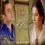 Pardes icon