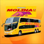 Molina Movil icon
