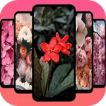 Flower Wallpapers HD 4K icon