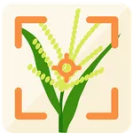 eDamuhan icon