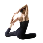 Pilates PRO icon