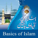 Learn Basics of Islam icon