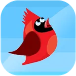 Red Bird Jump Sky icon