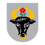 Miasto Chojnice icon