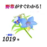 野草がすぐわかる（仮）統合版 icon