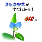 身近な野草がすぐわかる icon