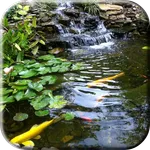 Pond with Koi Live Wallpaper icon