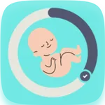 pregnancy week calculator icon