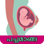 Pregnancy Care icon