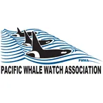 PWWA icon