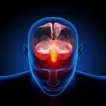 Brain Quiz Game icon