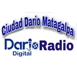 Dario Radio Digital icon