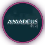 FM 91.1 RADIO AMADEUS icon