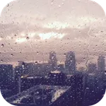 Rain Video Live Wallpaper icon