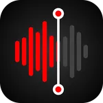 Voice Recorder - Audio Memos icon