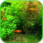 Real Aquarium 3D Wallpaper icon