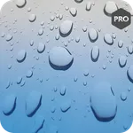 Real Rain Sounds : Pro Relax icon