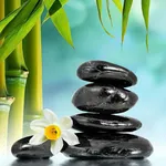 Aesthetic Relax HD Wallpaper icon