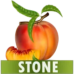 Stone Diet Renal Gall Bladder  icon
