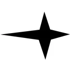 Socialist Modernism icon