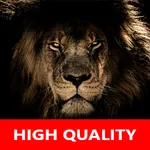 Real Lion Sounds - High Qualit icon