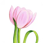 Тюльпан | Вологда icon