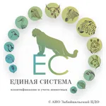 Единая система «Идентификации  icon