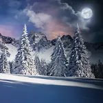 Christmas Snow Live Wallpaper icon