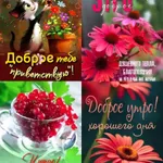 Lots of postcards icon