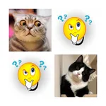 Найди пару: Котики icon