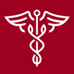 Набор баллов НМО «под ключ» icon