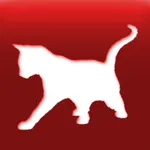 Cat Breed Auto Identify Photo icon