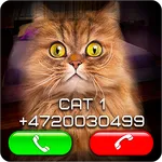 Fake Video Call Cat icon