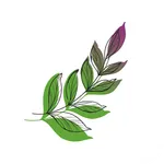 Дом Базилика | Анапа icon