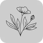 ESTETIKA - доставка цветов icon