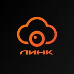 Линк Камеры icon