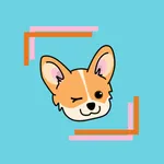 Simple Frames for your photos icon