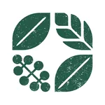 Поле icon